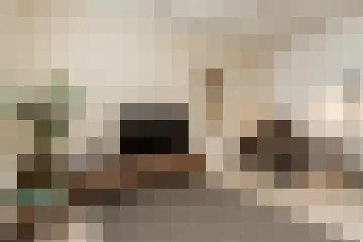 Karstraat 34 Zaltbommel thumbnail 13