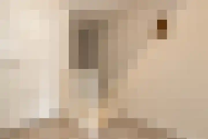 Karstraat 34 Zaltbommel thumbnail 32