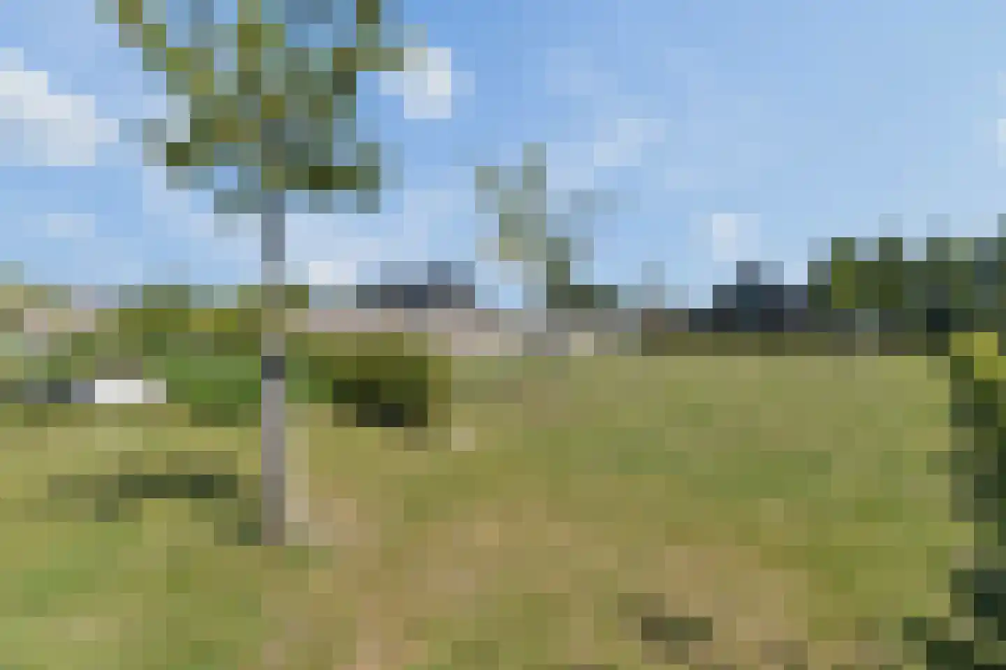 Karstraat 37 Huissen thumbnail 26