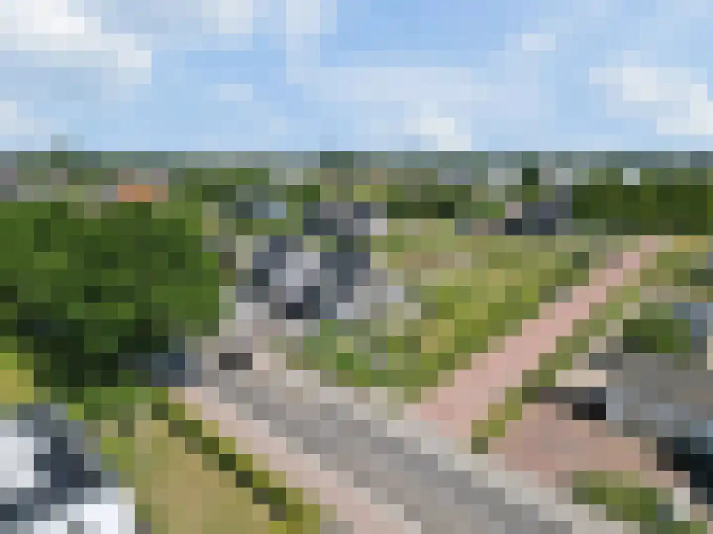 Karstraat 37 Huissen thumbnail 31