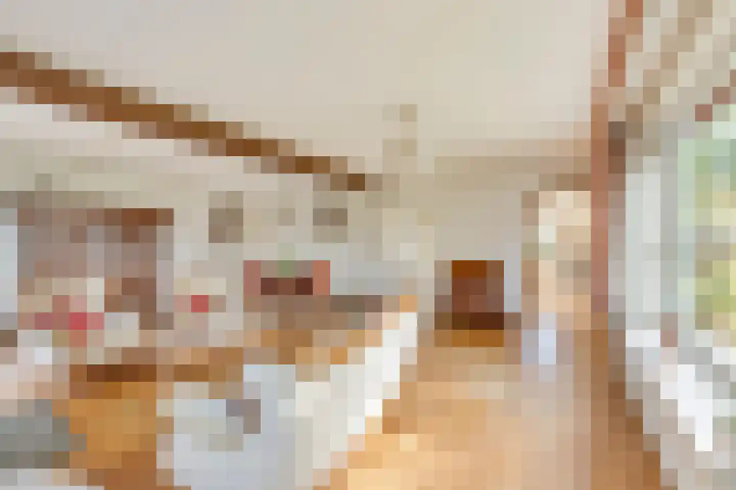 Karstraat 42 a Huissen thumbnail 13