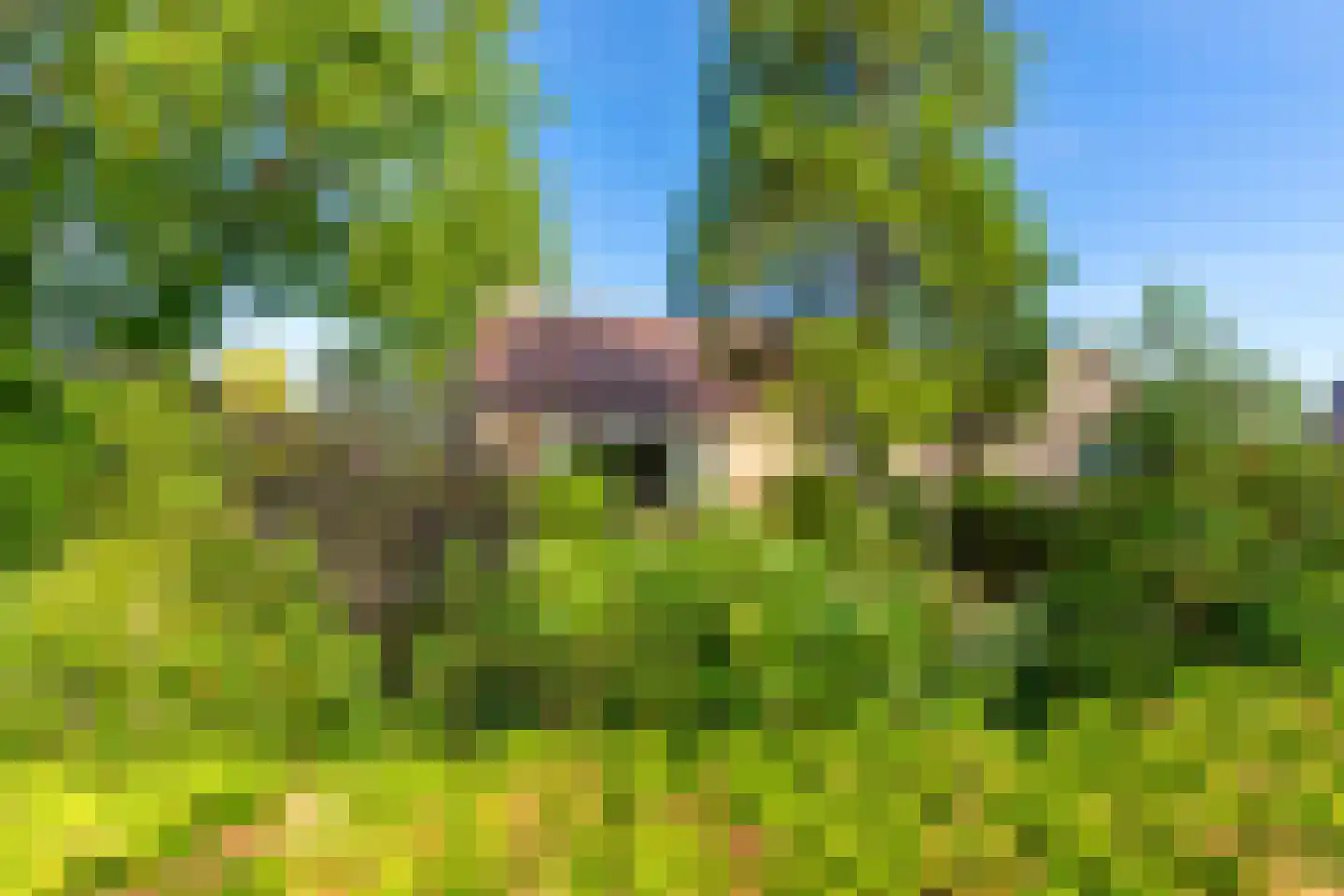 Karstraat 42 a Huissen thumbnail 35