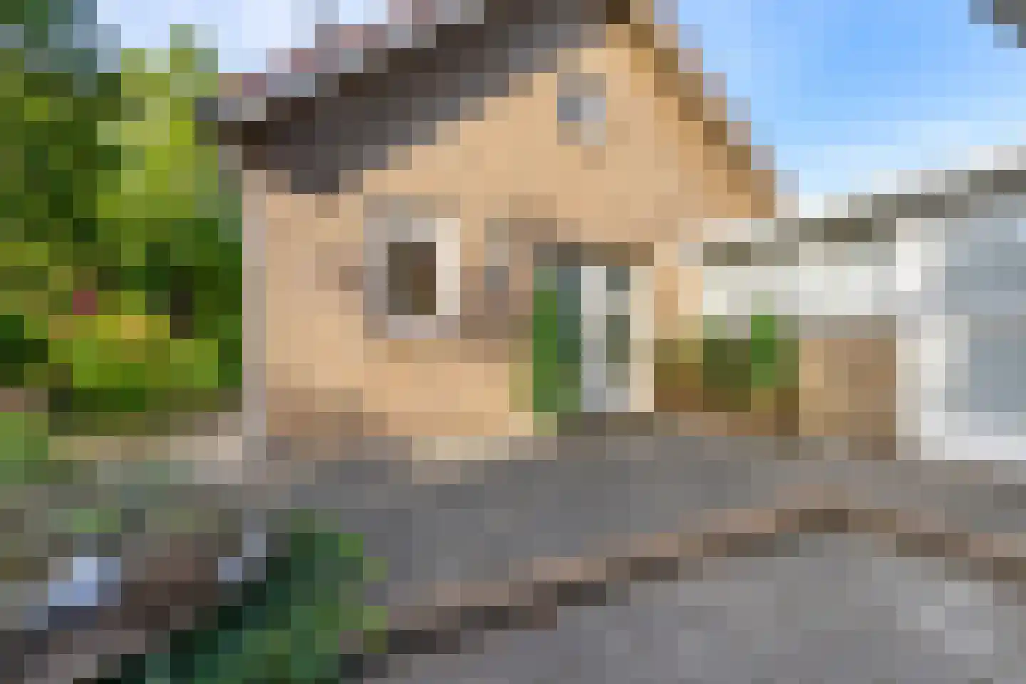 Karstraat 42 a Huissen thumbnail 6