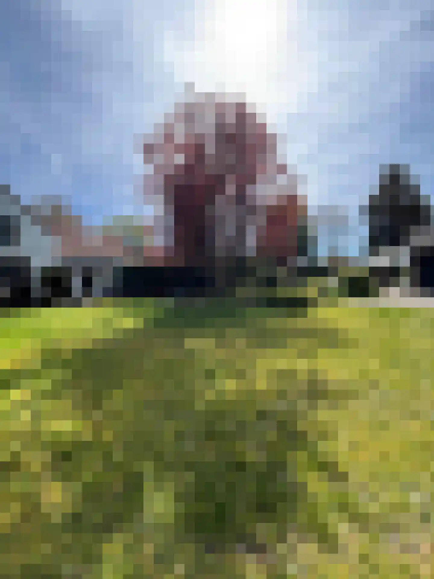 Karstraat 48 a Huissen thumbnail 6