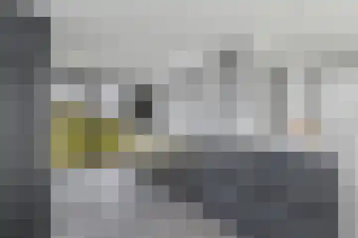 Karstraat 58 Huissen thumbnail 10