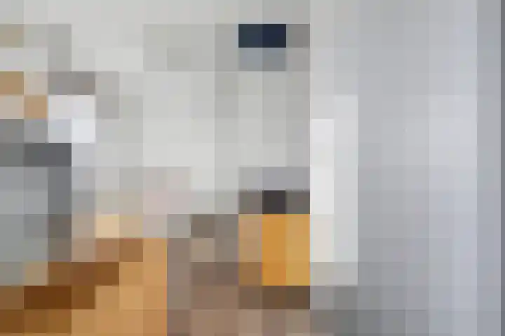 Karstraat 58 Huissen thumbnail 19