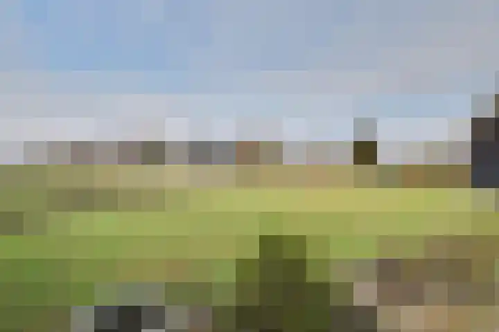 Karstraat 58 Huissen thumbnail 37