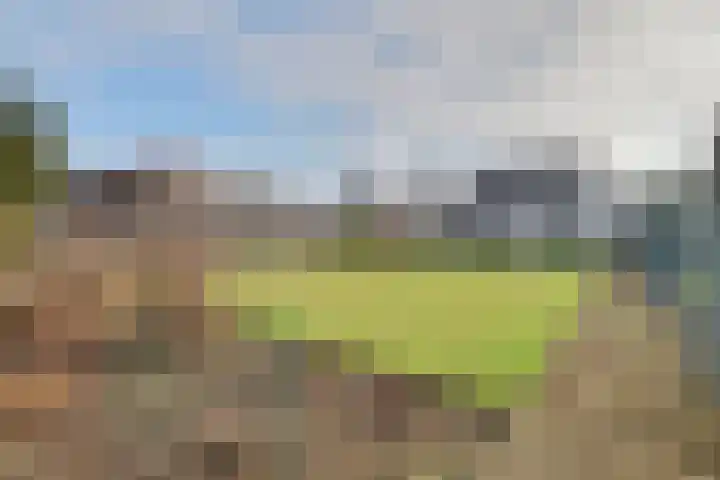 Karstraat 58 Huissen thumbnail 39