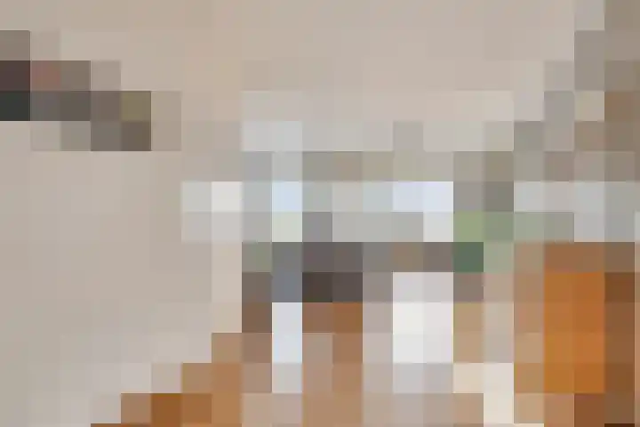 Karstraat 73 a Huissen thumbnail 6