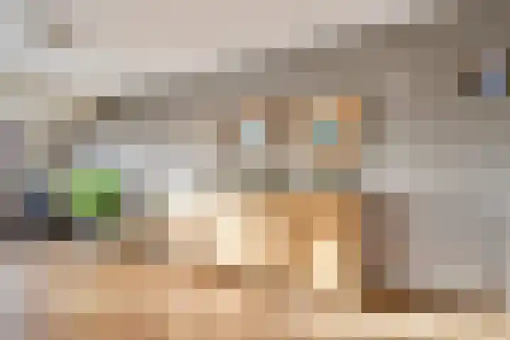 Karstraat 73 a Huissen thumbnail 7