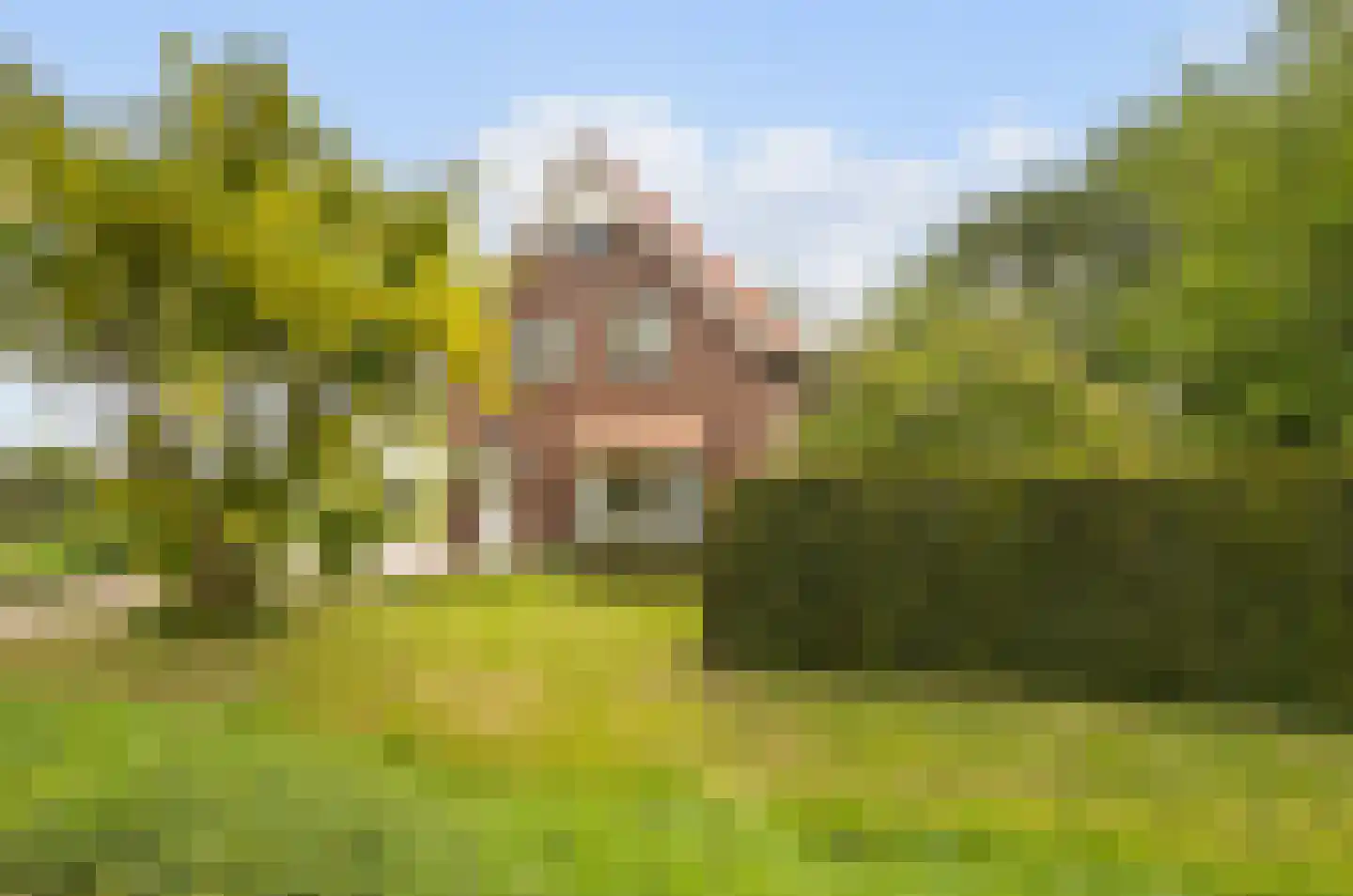 Karstraat 79 Huissen