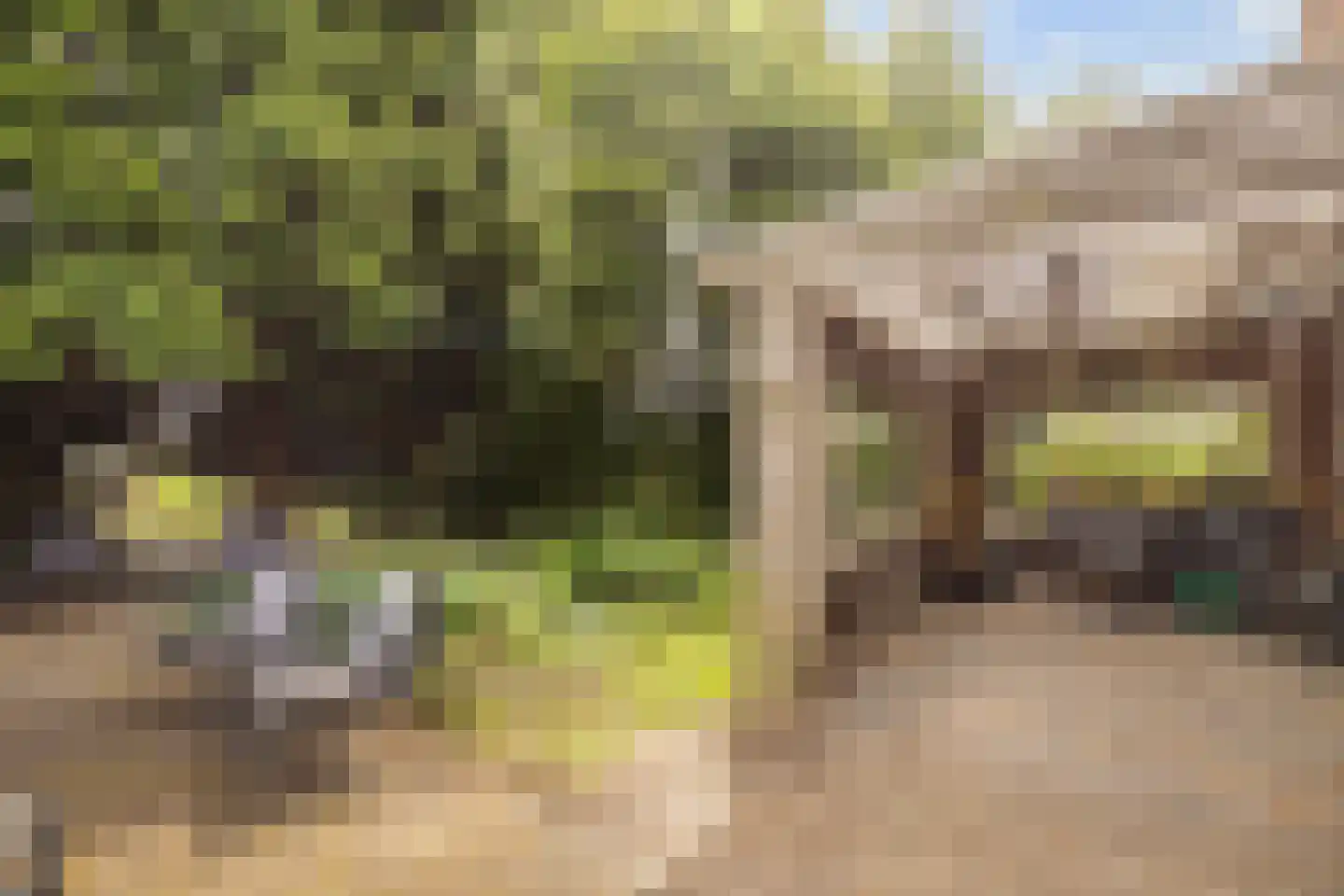 Karstraat 79 Huissen thumbnail 21