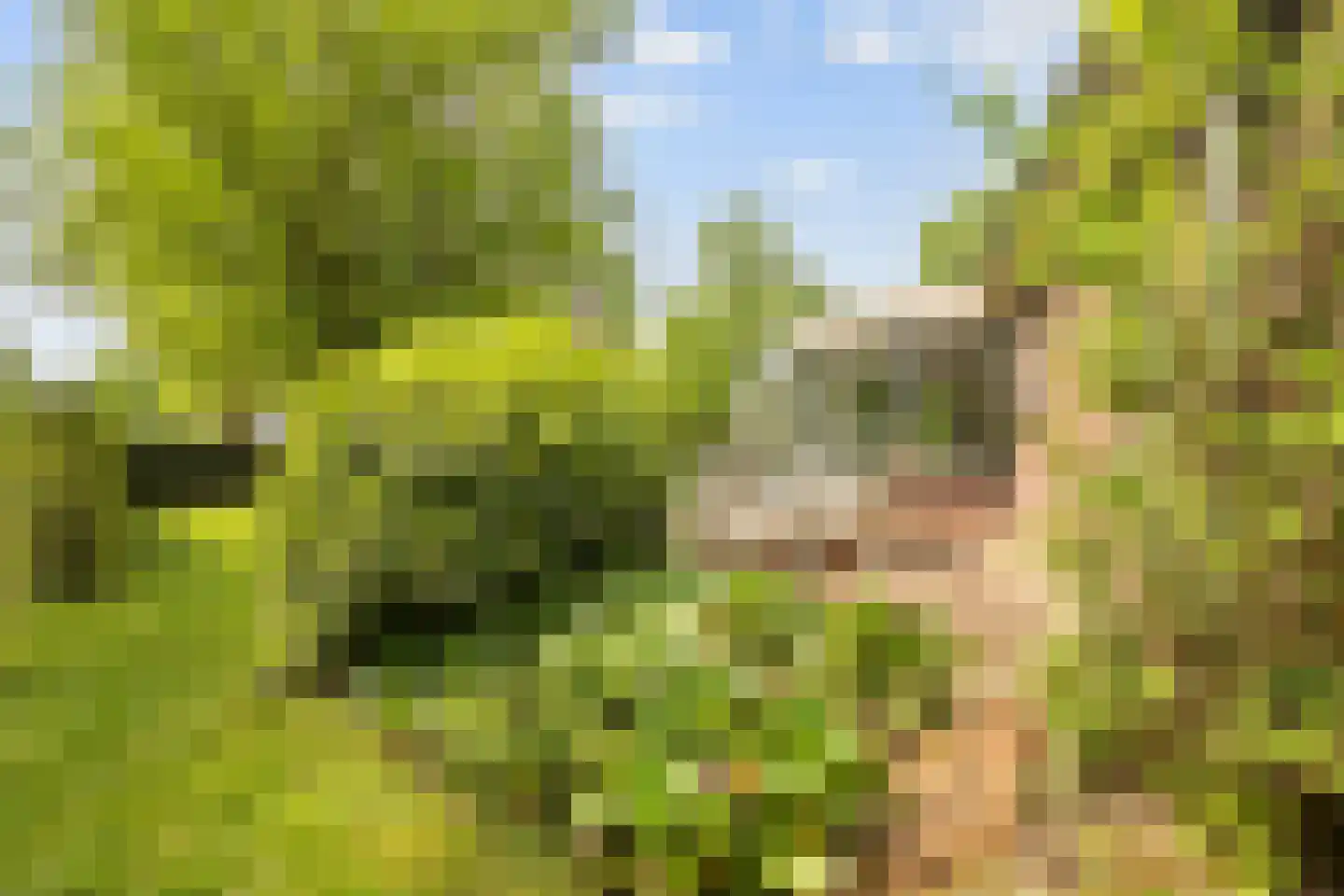 Karstraat 79 Huissen thumbnail 22