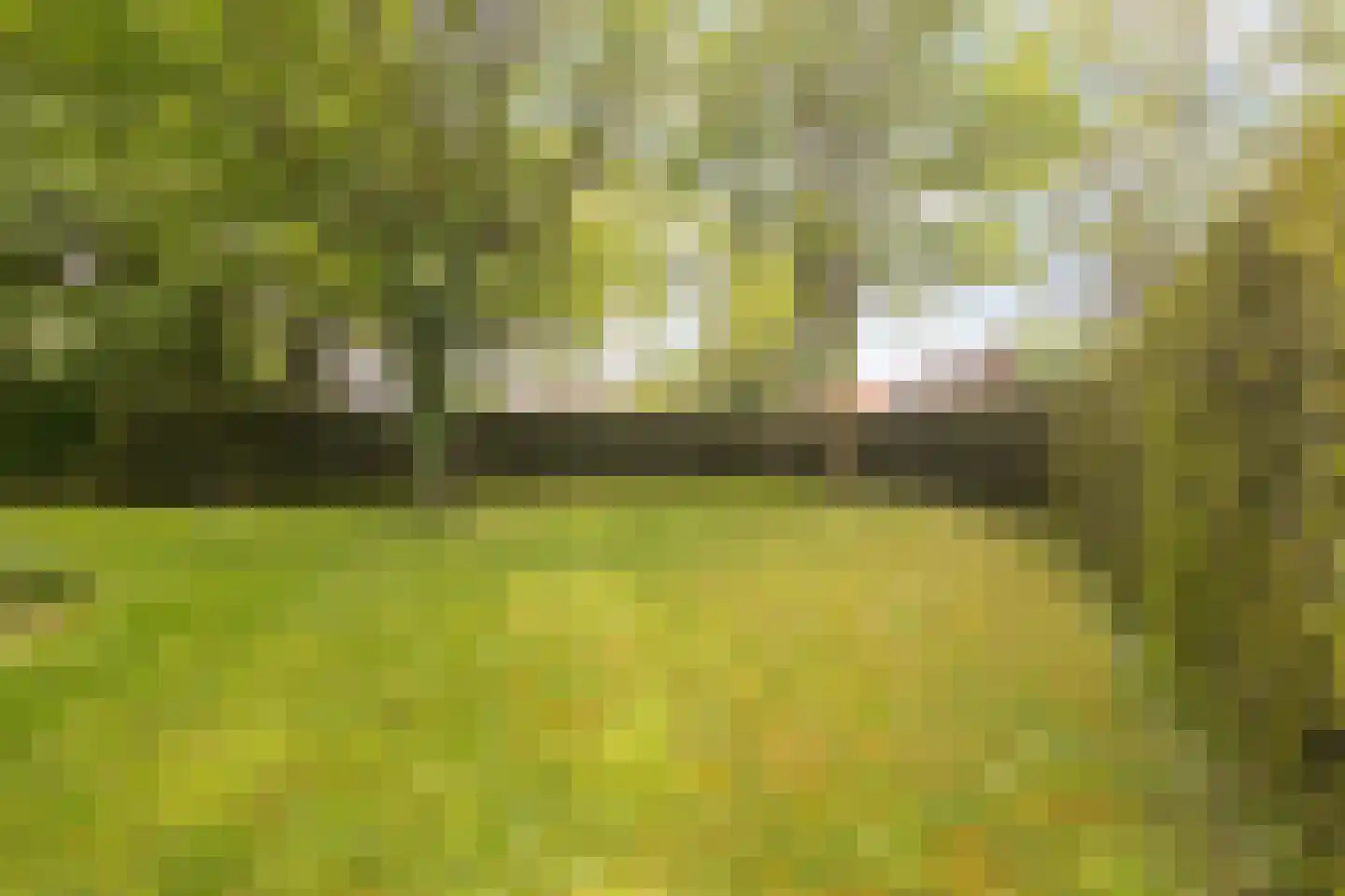 Karstraat 79 Huissen thumbnail 23