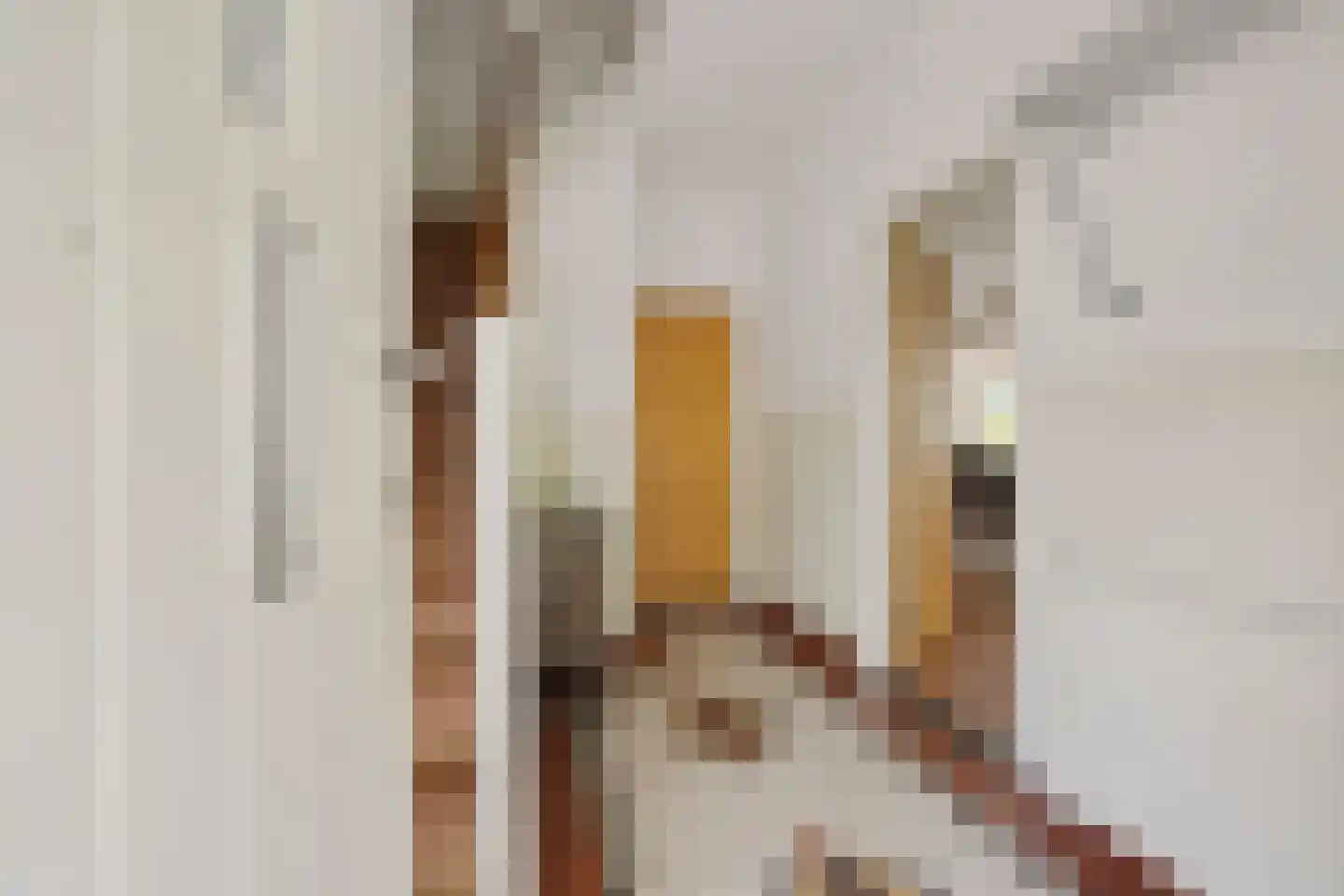 Karstraat 79 Huissen thumbnail 5