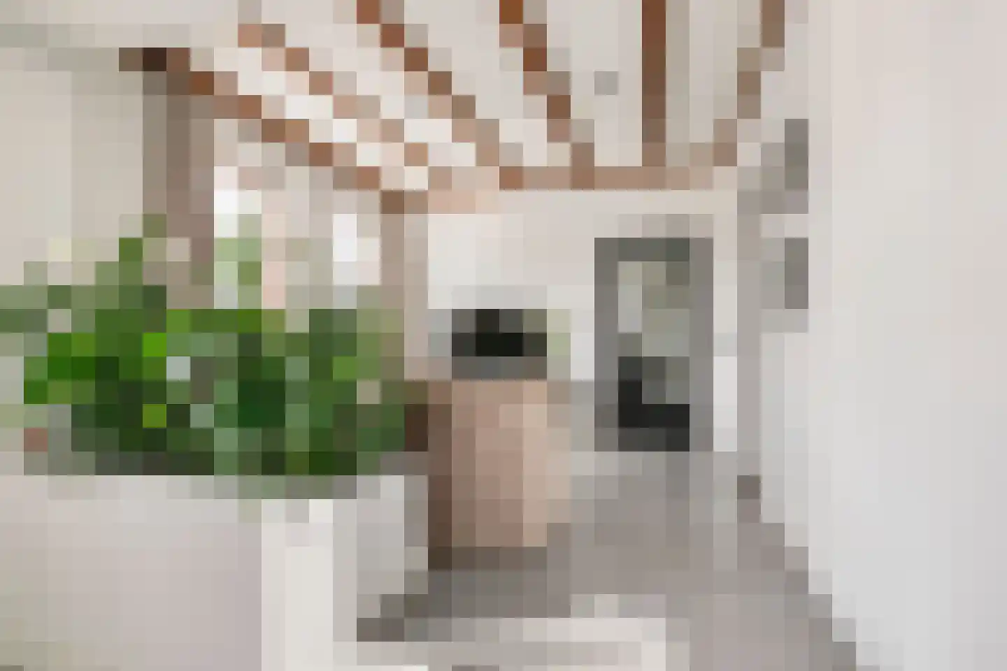 Karstraat 8 Huissen thumbnail 10