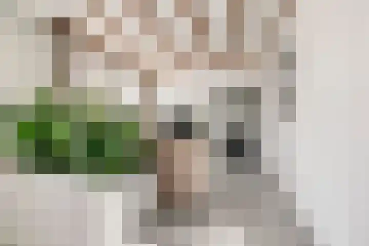 Karstraat 8 Huissen thumbnail 10