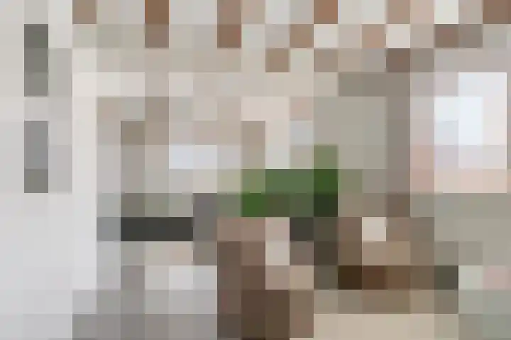 Karstraat 8 Huissen thumbnail 11