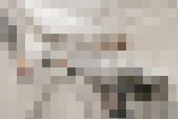 Karstraat 8 Huissen thumbnail 13