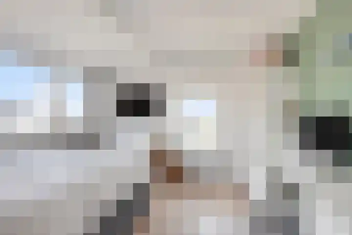 Karstraat 8 Huissen thumbnail 24