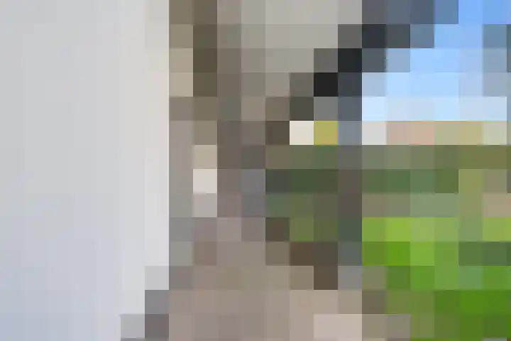 Karstraat 8 Huissen thumbnail 30