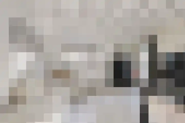 Karstraat 8 Huissen thumbnail 31