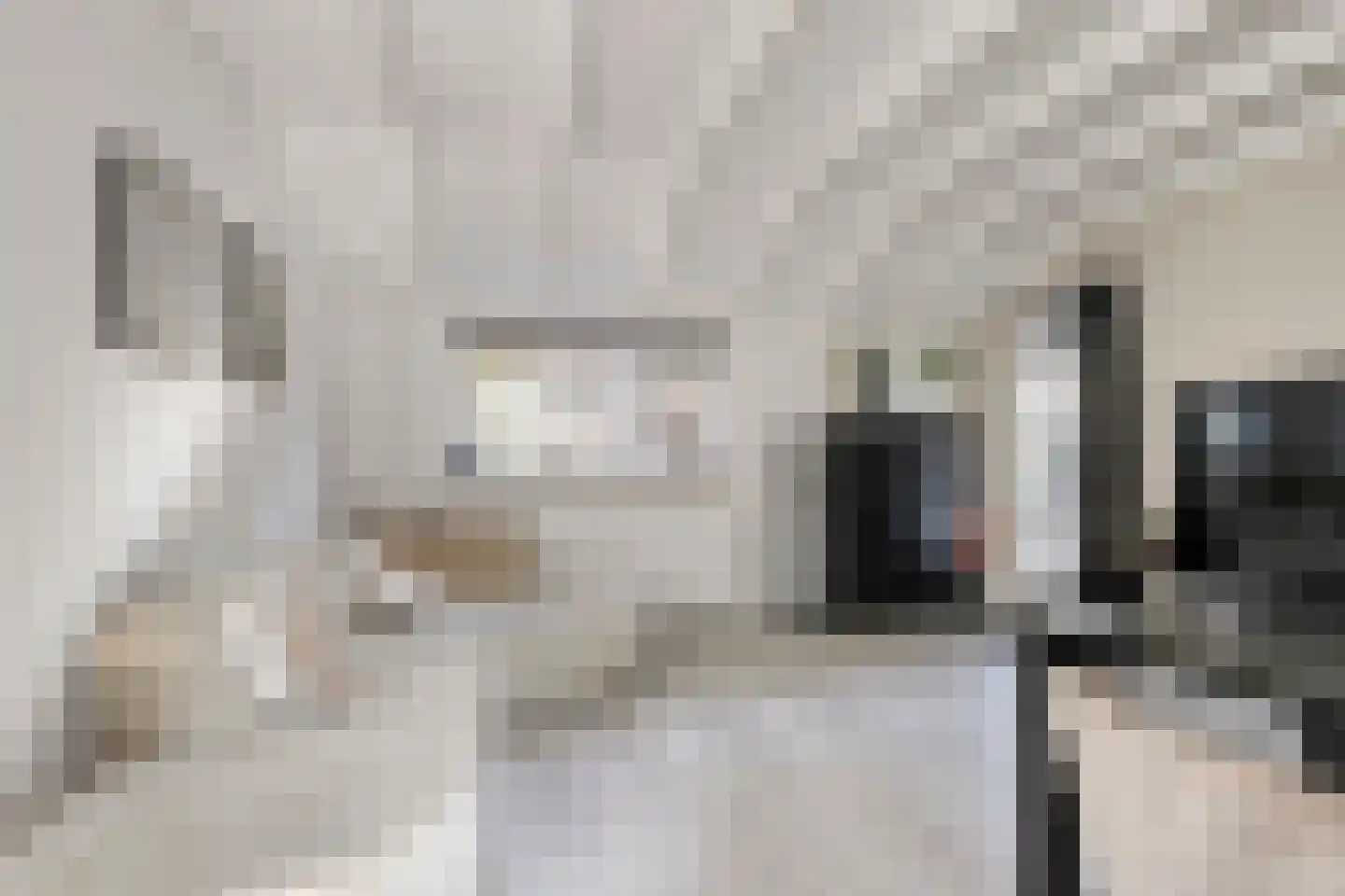 Karstraat 8 Huissen thumbnail 31
