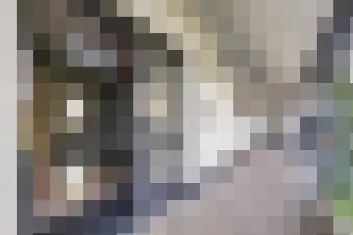Karstraat 8 Huissen thumbnail 5