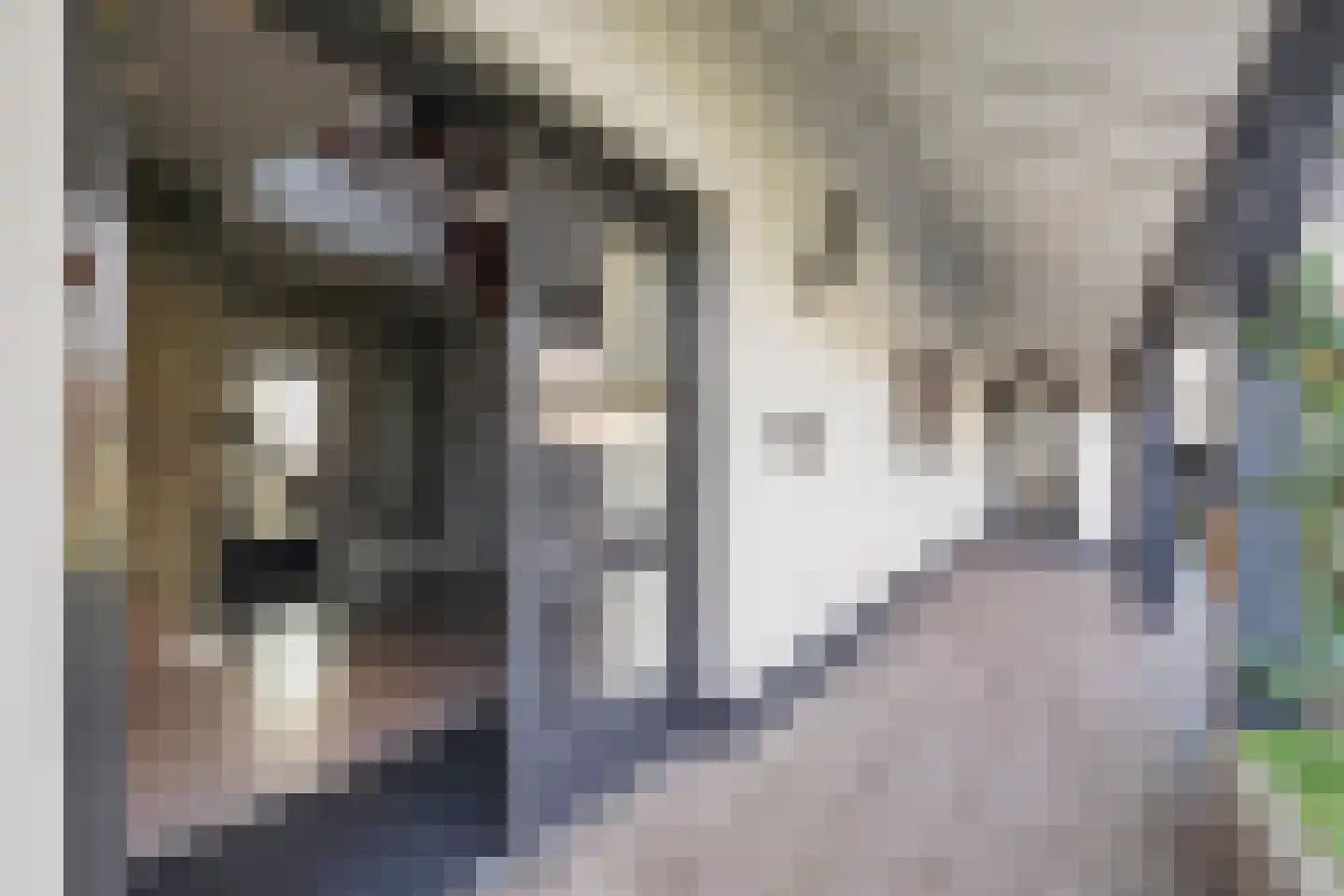 Karstraat 8 Huissen thumbnail 5