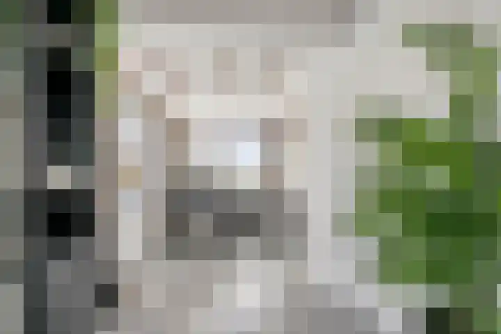 Karstraat 8 Huissen thumbnail 7