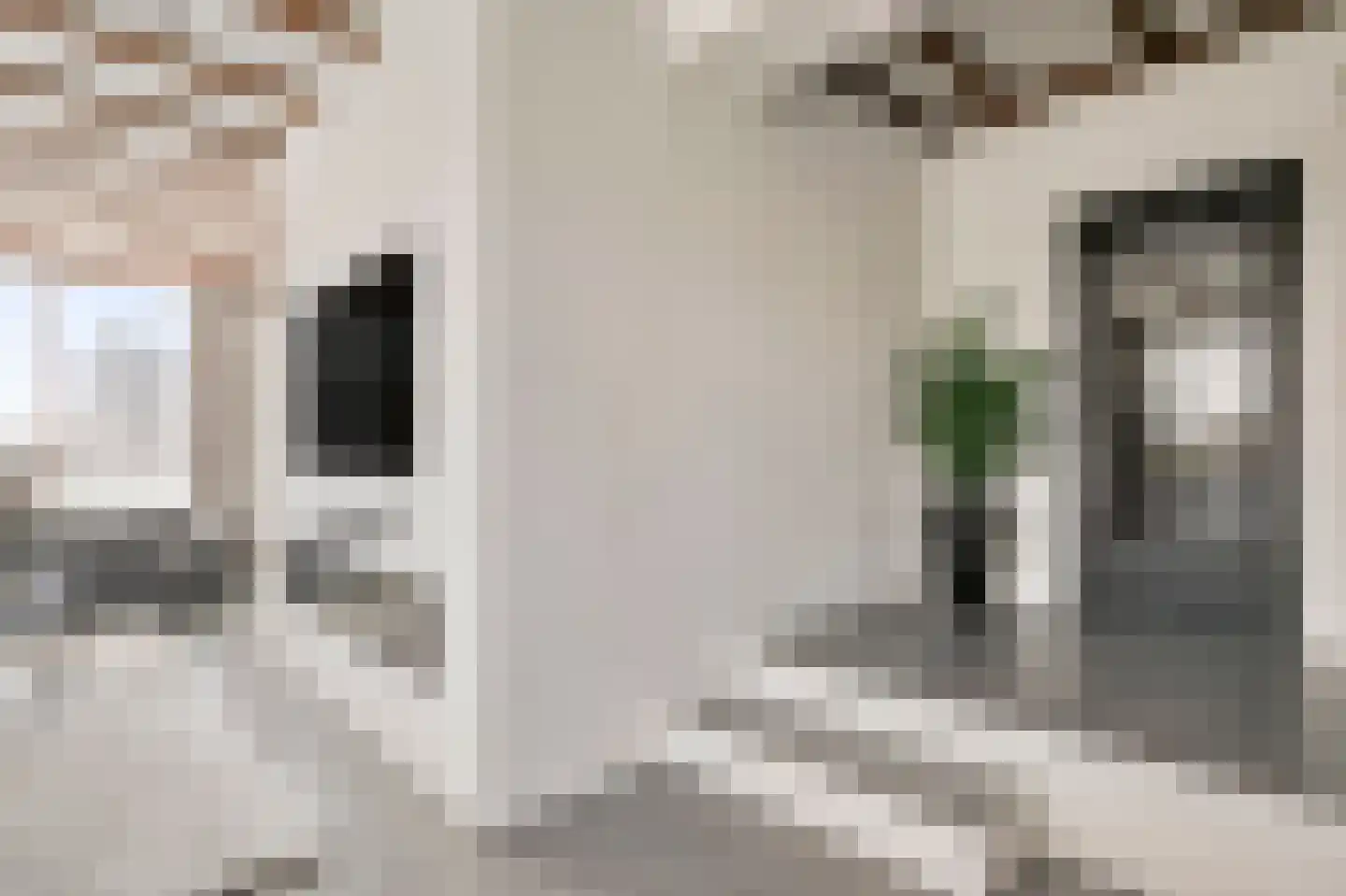 Karstraat 8 Huissen thumbnail 8