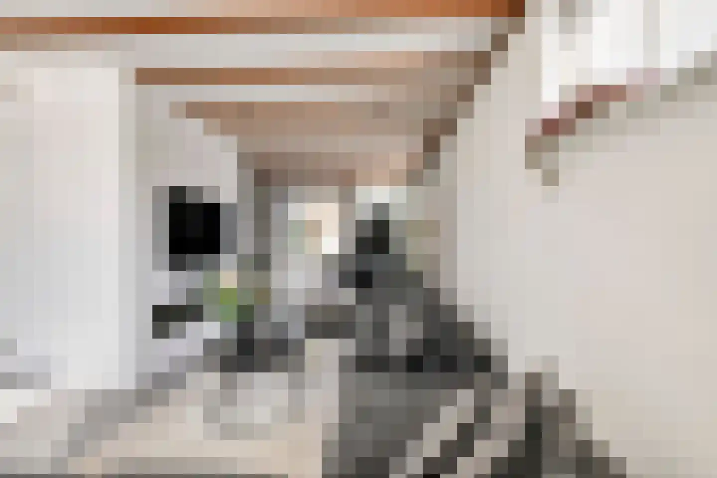 Karstraat 8 Huissen thumbnail 9