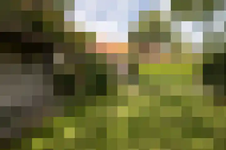 Karstraat 9 Mill thumbnail 29