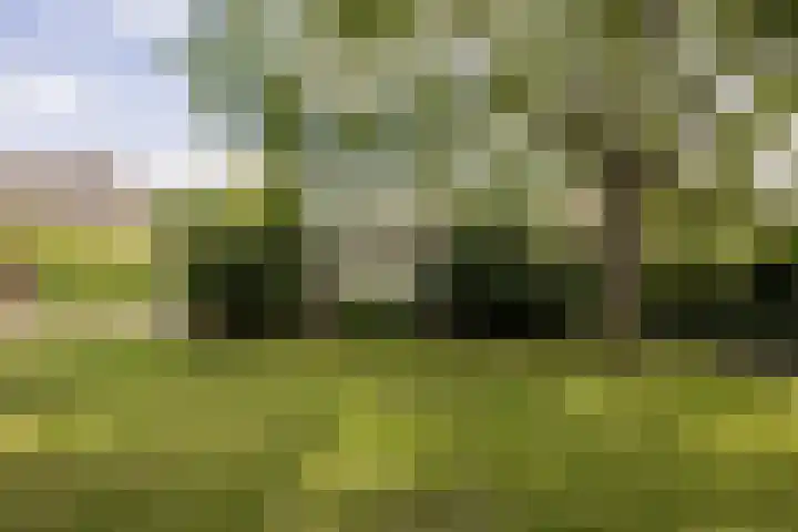 Karstraat 9 Mill thumbnail 30