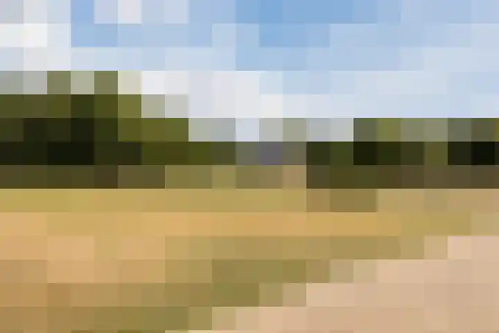 Karstraat 9 Mill thumbnail 33