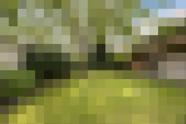 Karstraat 9 Mill thumbnail 5