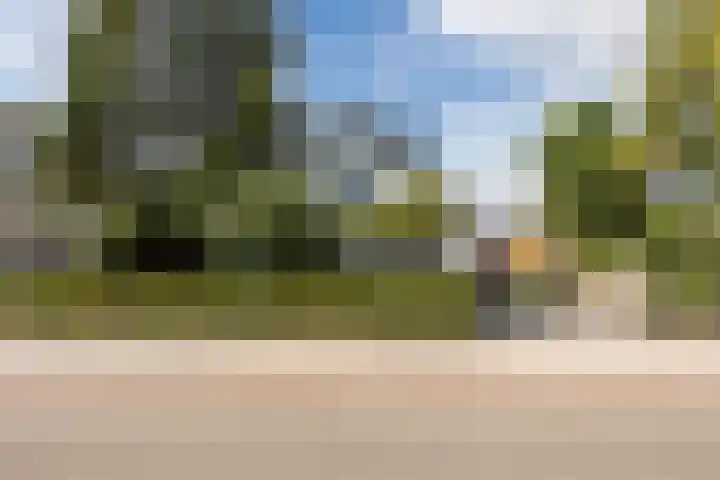 Karstraat 9 Mill thumbnail 6