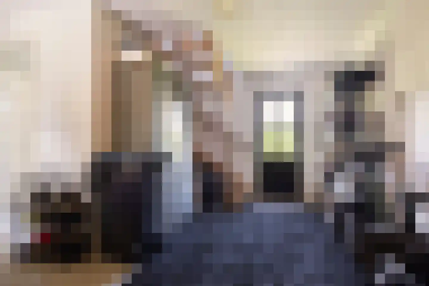 Karthuizerlaan 2 IJsselmuiden thumbnail 53
