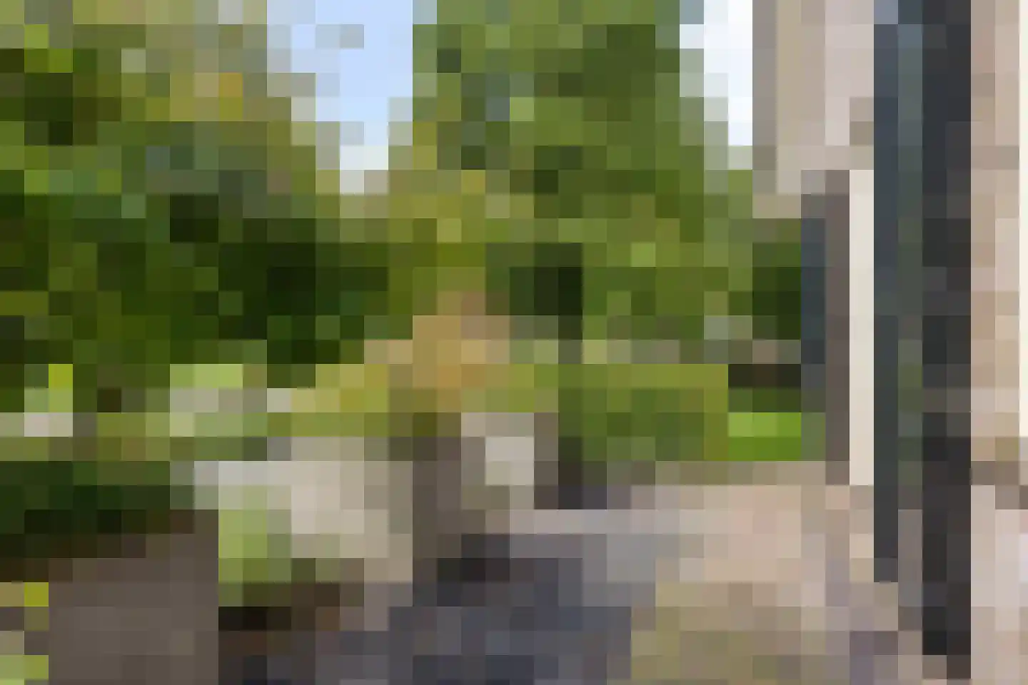Karthuizerlaan 2 IJsselmuiden thumbnail 57