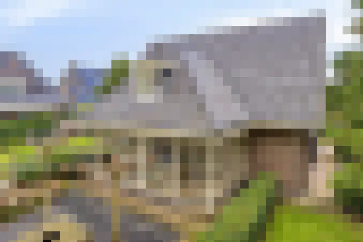 Karthuizerlaan 2 IJsselmuiden thumbnail 59