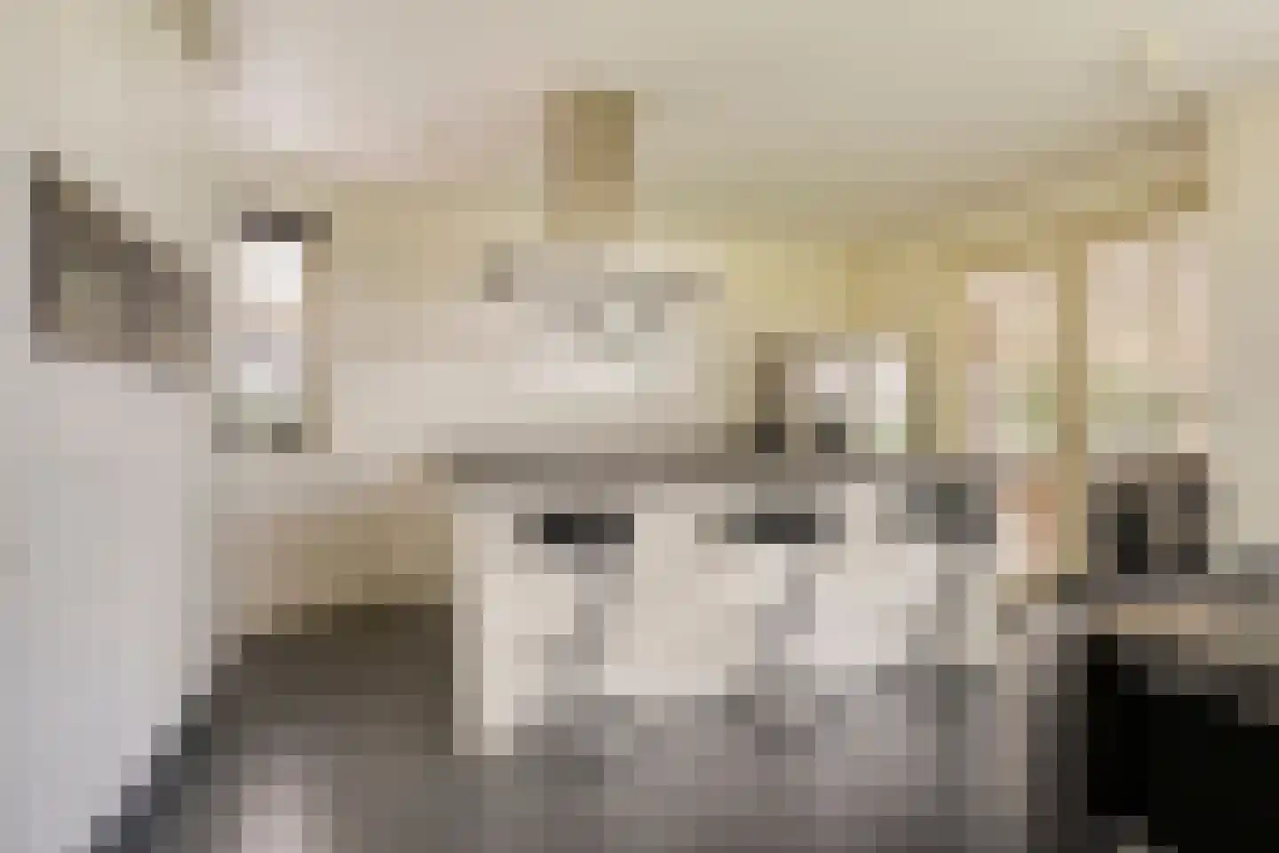 Karthuizerlaan 2 IJsselmuiden thumbnail 6