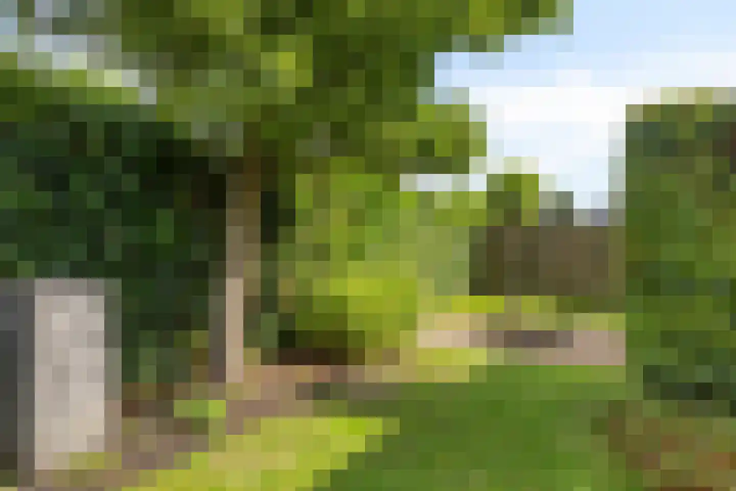 Karthuizerlaan 2 IJsselmuiden thumbnail 66