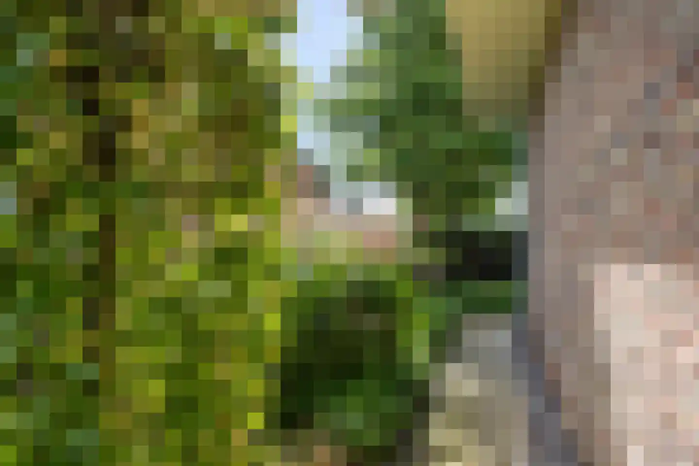 Karthuizerlaan 2 IJsselmuiden thumbnail 68