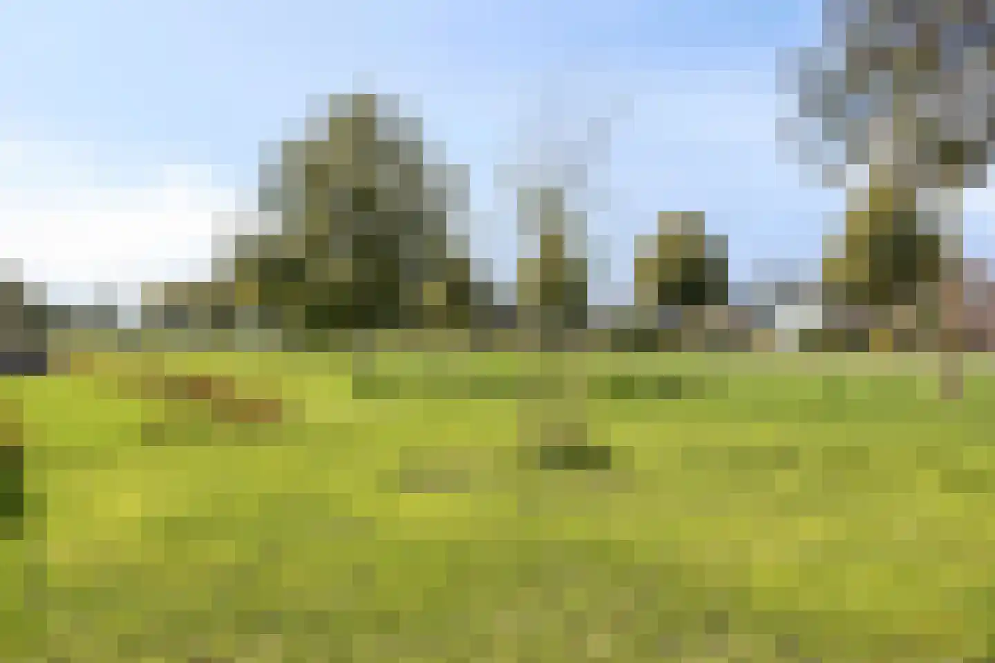 Karthuizerlaan 2 IJsselmuiden thumbnail 69