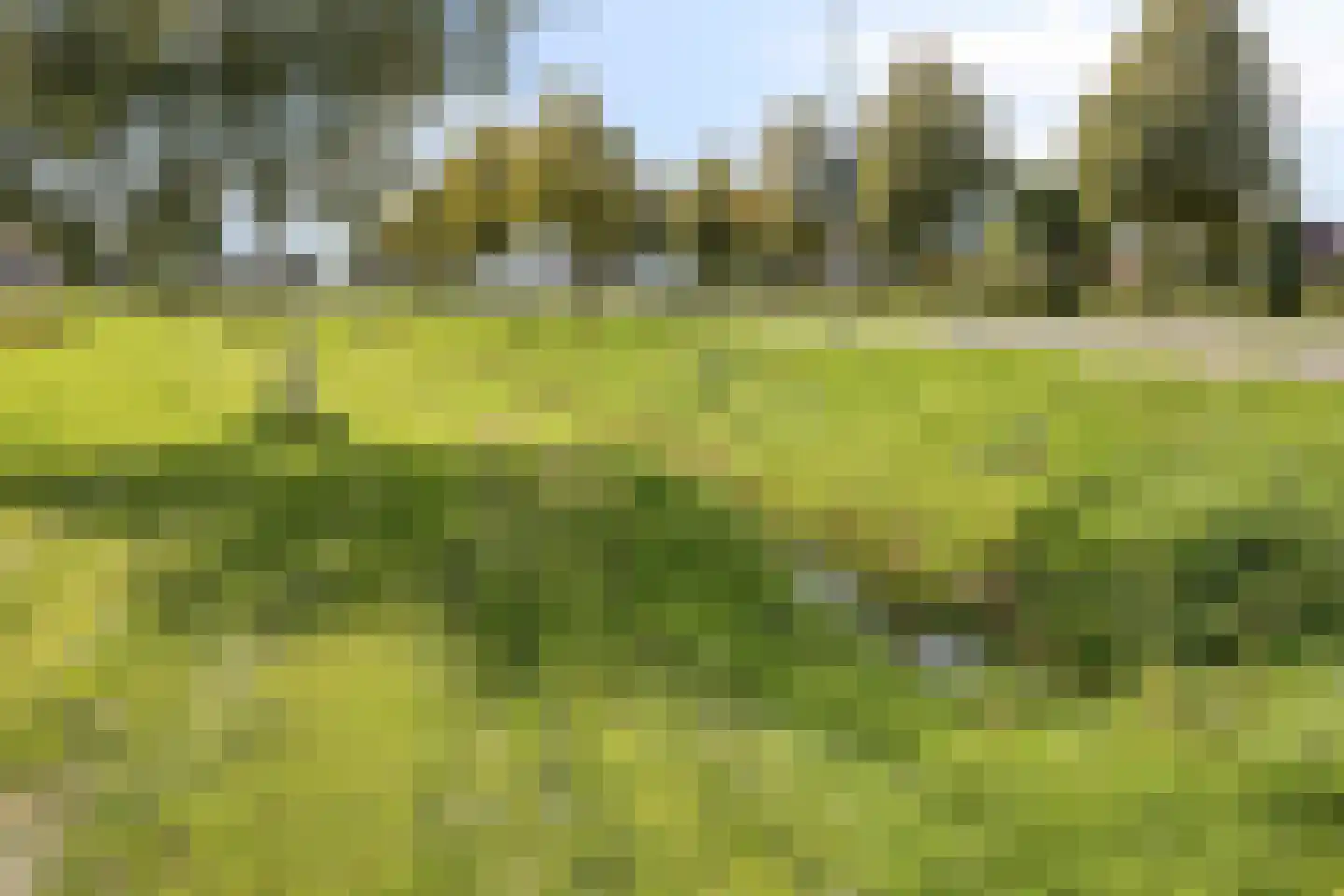 Karthuizerlaan 2 IJsselmuiden thumbnail 70
