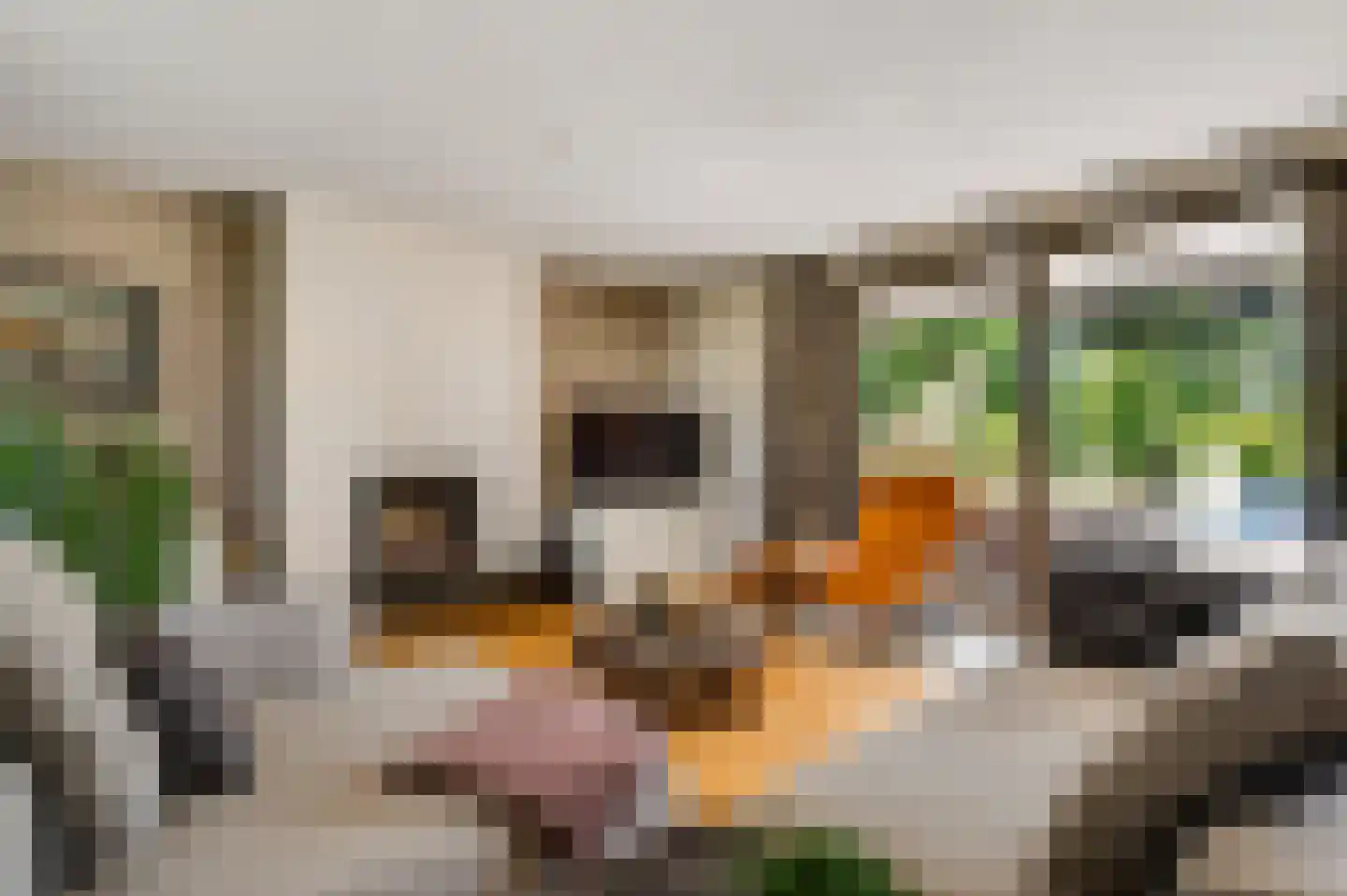 Karthuizerlaan 22 Roermond thumbnail 10
