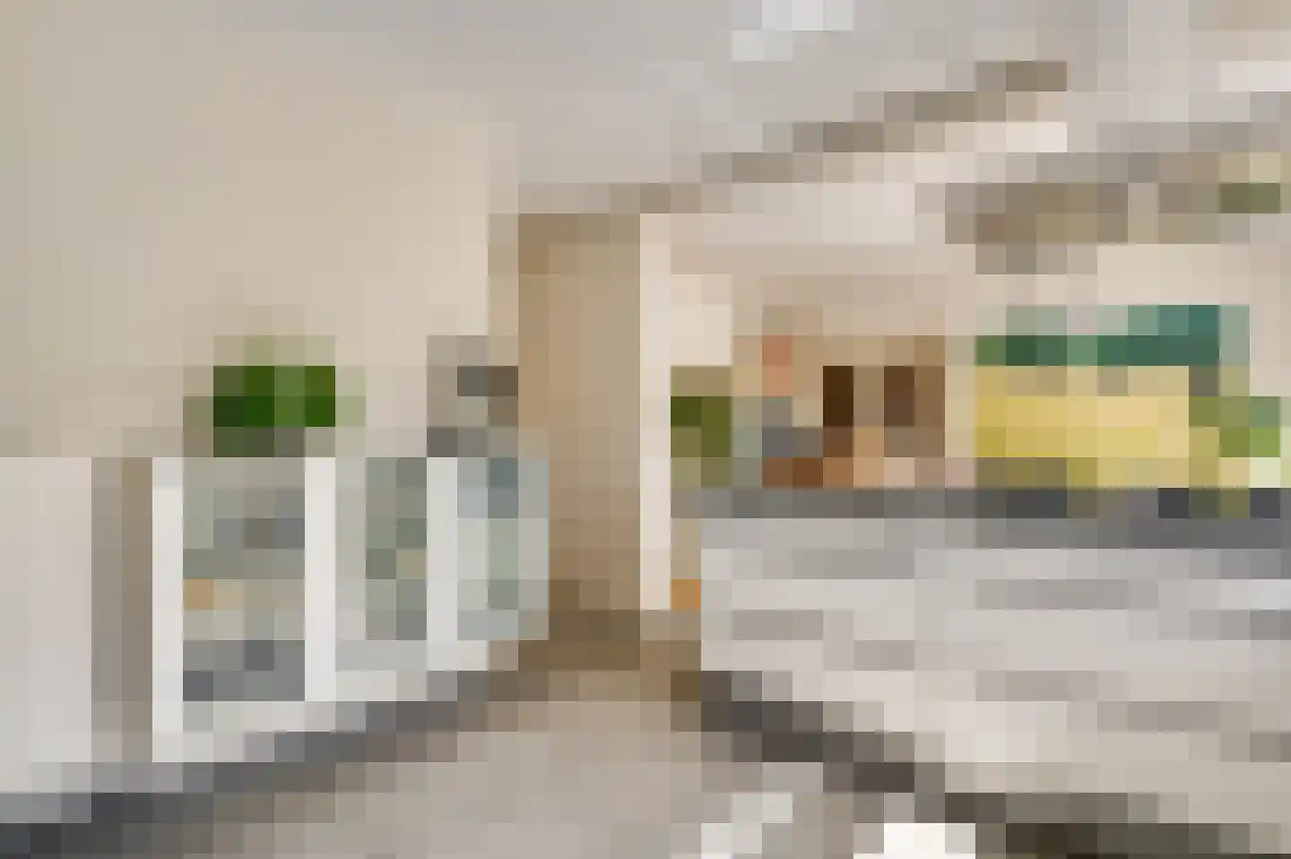 Karthuizerlaan 22 Roermond thumbnail 21