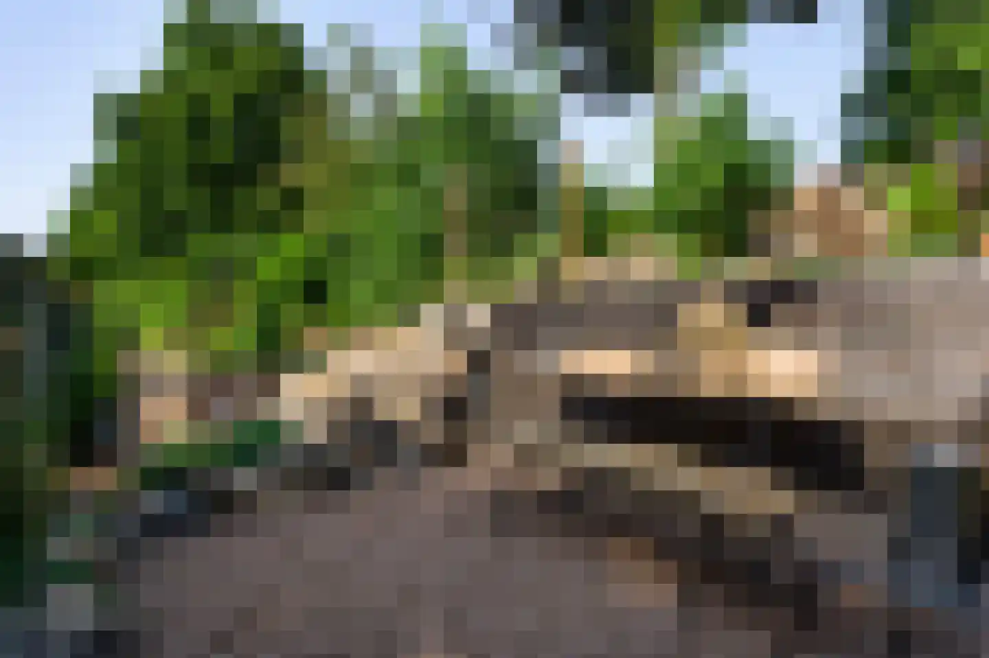 Karthuizerlaan 22 Roermond thumbnail 41