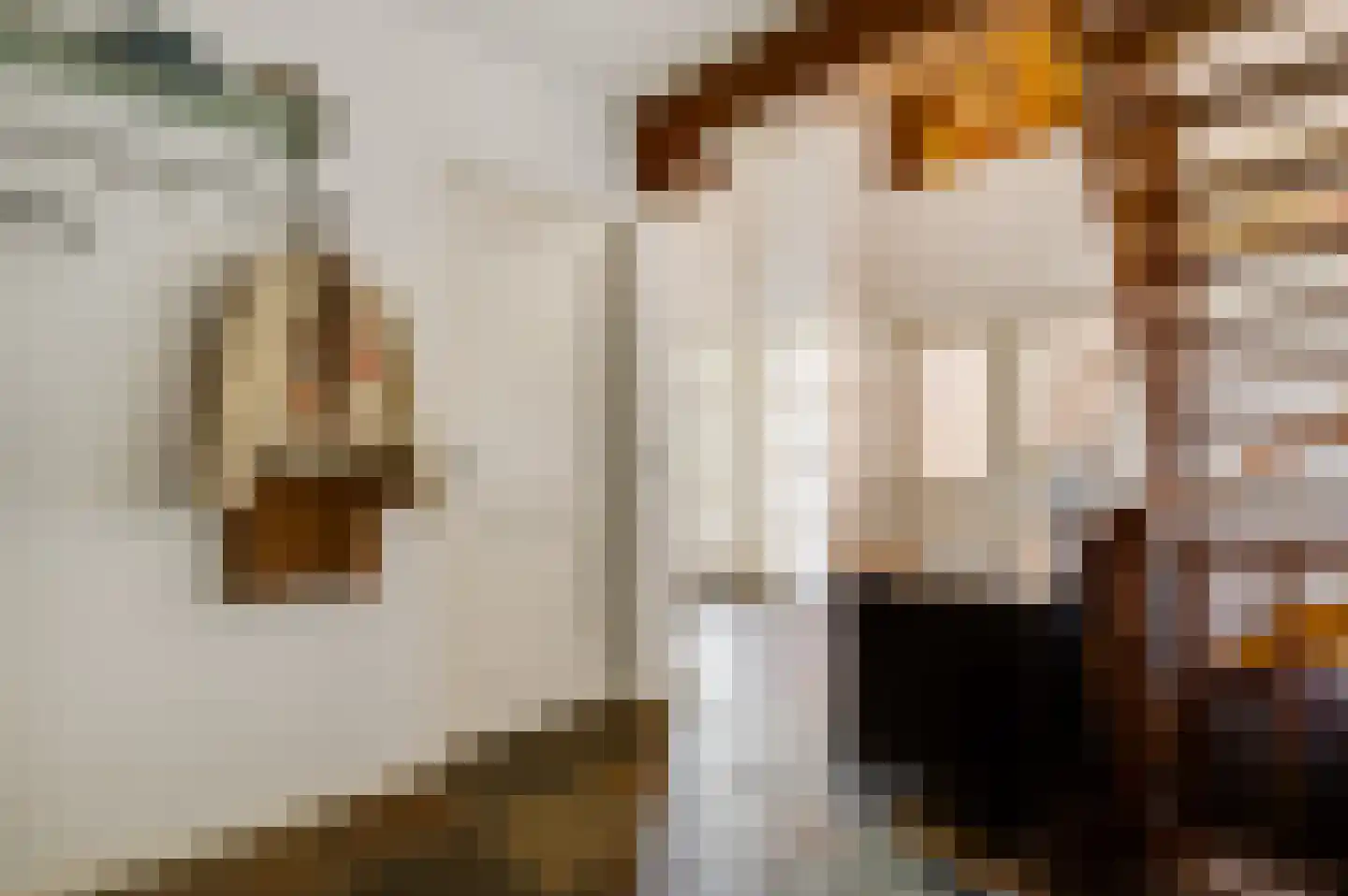 Karthuizerlaan 22 Roermond thumbnail 6
