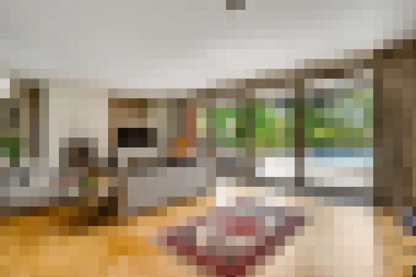 Karthuizerlaan 22 Roermond thumbnail 8